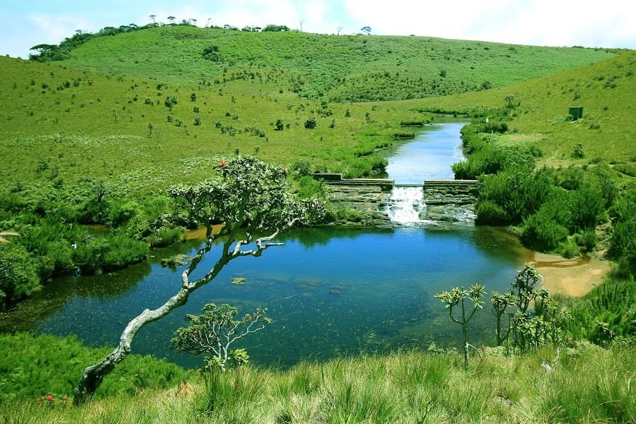 Why Horton Plains is More Than Just a Hike - Image 1