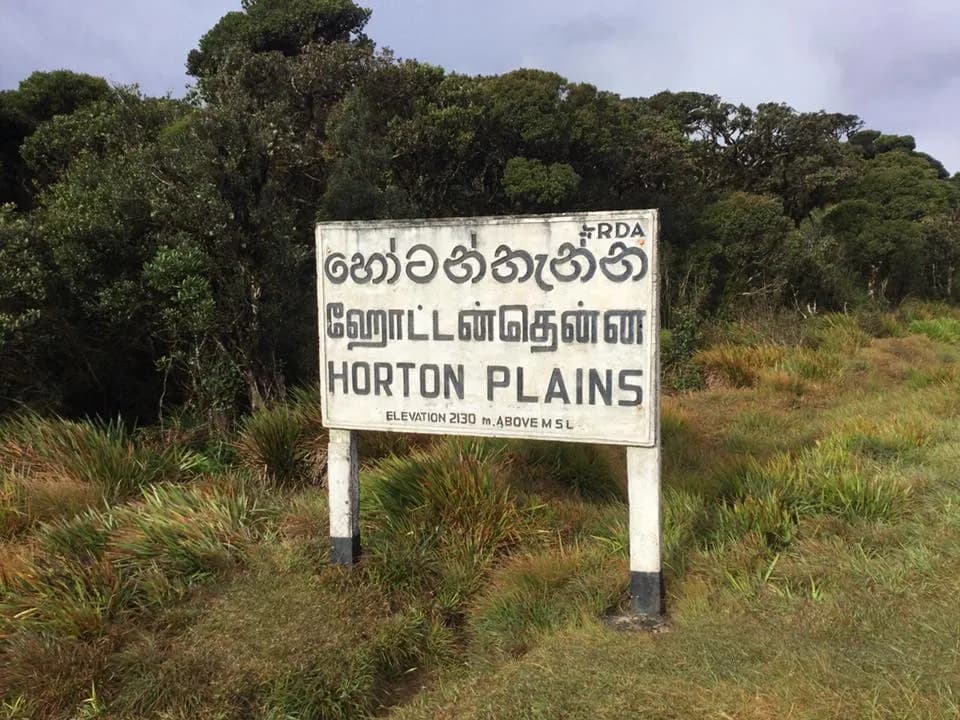 Why Horton Plains is More Than Just a Hike - Image 6